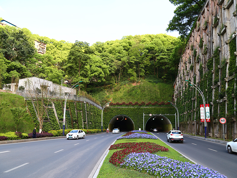 忠山隧道绿化工程